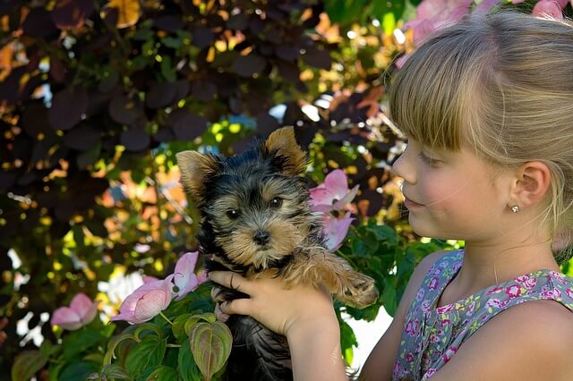 child-1538561_640